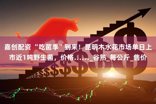 嘉创配资 “吃菌季”到来！昆明木水花市场单日上市近1吨野生菌，价格……_谷熟_每公斤_售价