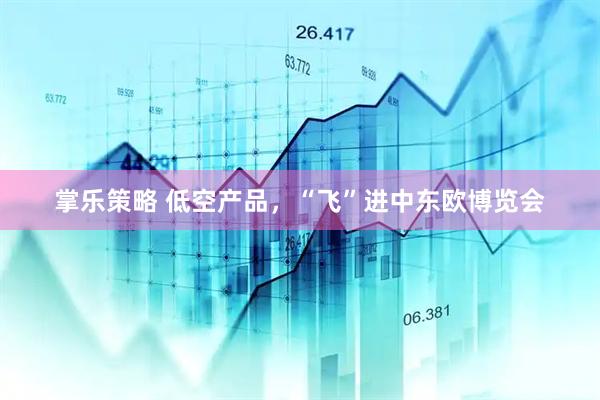 掌乐策略 低空产品，“飞”进中东欧博览会