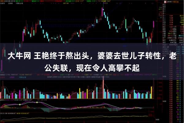 大牛网 王艳终于熬出头，婆婆去世儿子转性，老公失联，现在令人高攀不起