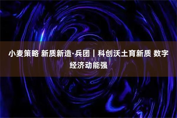 小麦策略 新质新造·兵团｜科创沃土育新质 数字经济动能强