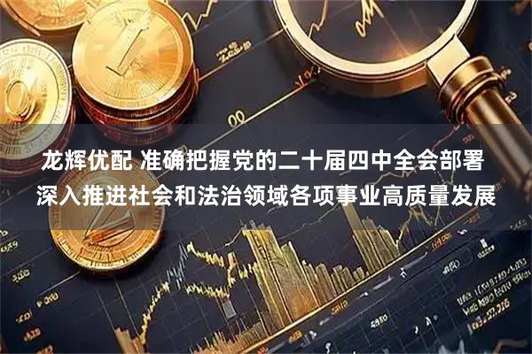 龙辉优配 准确把握党的二十届四中全会部署 深入推进社会和法治领域各项事业高质量发展